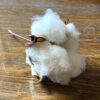 Cotton, 'Albe Red' - Image 2